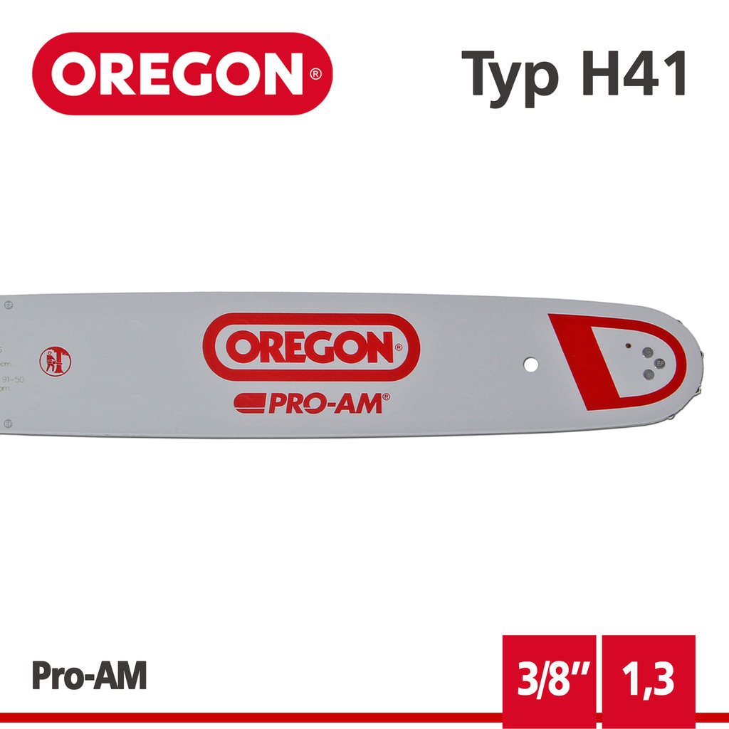 Oregon Führungsschiene Schwert 30 cm für Motorsäge ECHO CS-2800 